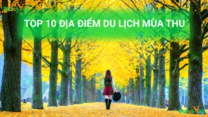 TOP 10 Địa Điểm Du Lịch Mùa Thu Đẹp Nhất