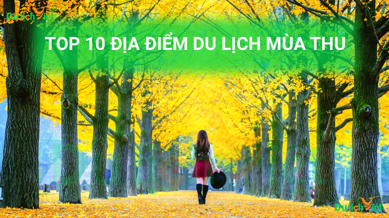 TOP 10 Địa Điểm Du Lịch Mùa Thu Đẹp Nhất