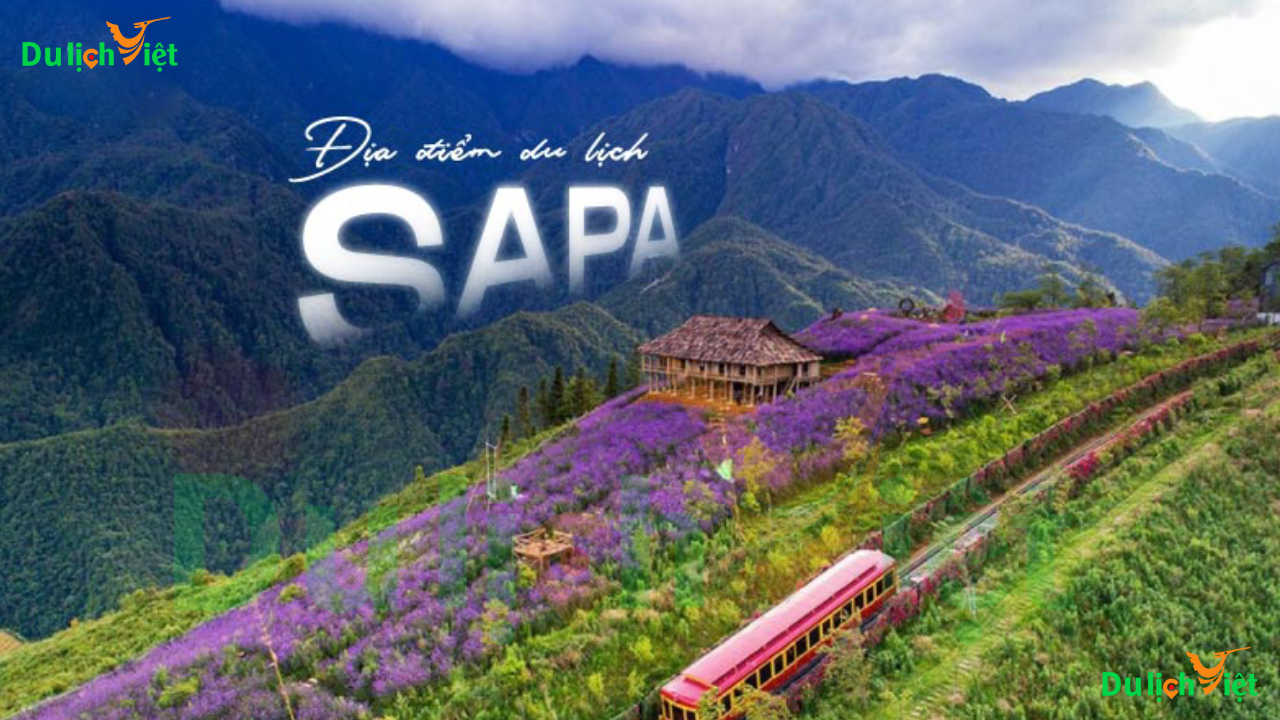TOP 10 Địa Điểm Du Lịch SAPA Hấp Dẫn Ở Xứ Sở Sương Mù